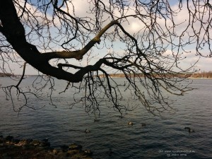 Wannsee01
